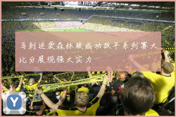 马刺逆袭森林狼成功扳平系列赛大比分展现强大实力